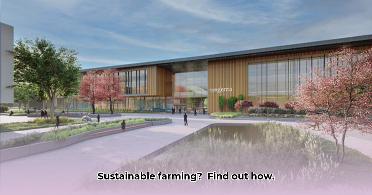 greensboro-syngenta